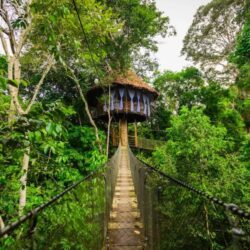 Лоджи Перу Амазония Икитос