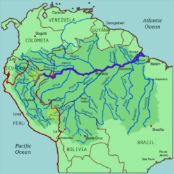 Туры и экскурсии в джунгли, Амазония