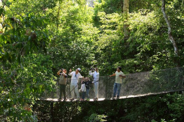 Тур в Амазонию Перу экскурсия в джунгли