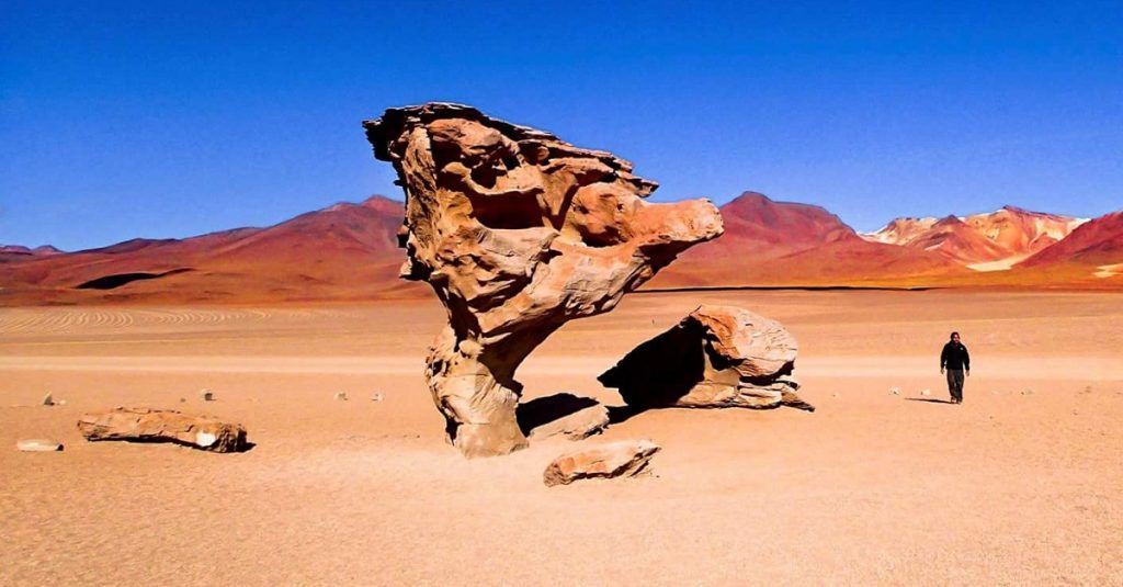каменное дерево в пустыне силоли