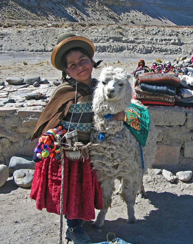 девочка с альпакой в арекипе перу
