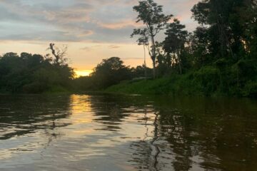 Прогулка по реке Амазонка