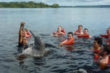 Поплавать с розовыми дельфинами