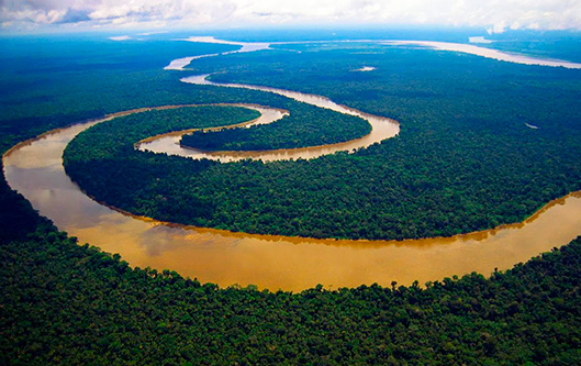 Амазонка тур на пароходе, Вид на Амазонку сверху