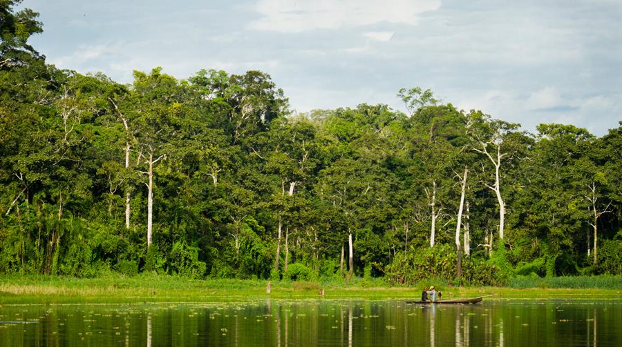 Тур на пароходе класса люкс, джунгли амазонки